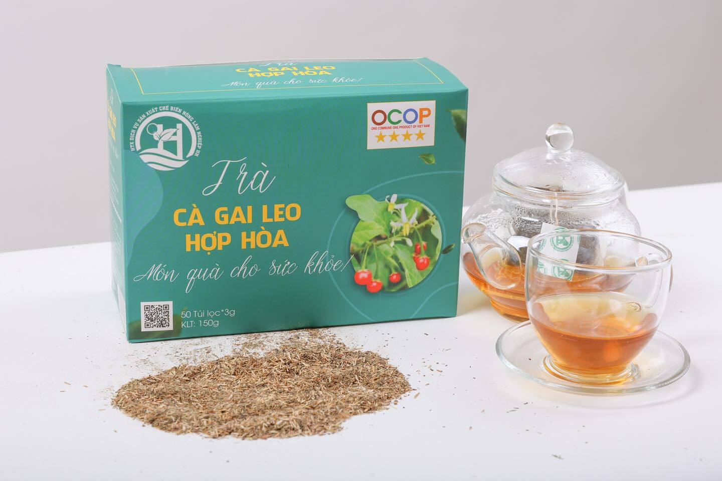 Sản phẩm “Trà gai leo” của HỢP TÁC XÃ DỊCH VỤ SẢN XUẤT, CHẾ BIẾN NÔNG LÂM NGHIỆP HỢP HÒA