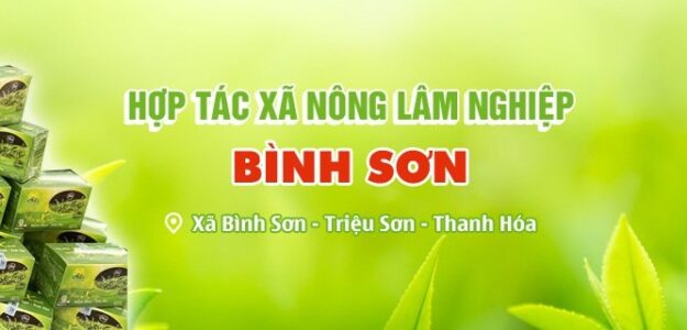 Hợp tác xã dịch vụ nông lâm nghiệp Bình Sơn