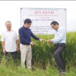 Công ty TNHH Cường Tân