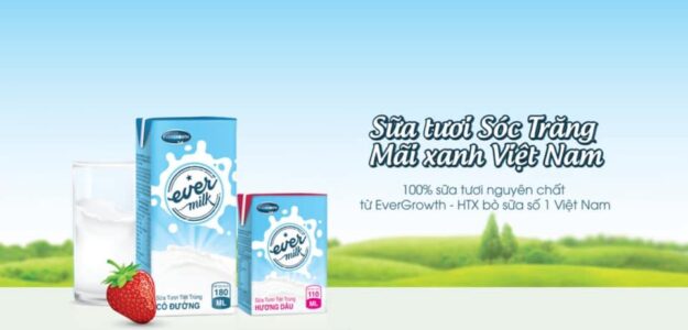 Công ty CP sữa evergrowth
