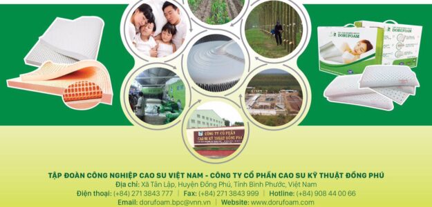 CÔNG TY CỔ PHẦN CAO SU KỸ THUẬT ĐỒNG PHÚ