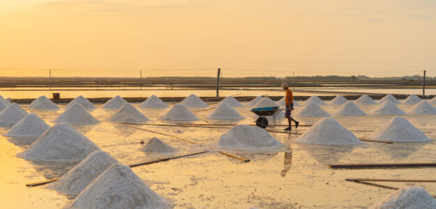 Công ty CP chế biến và kinh doanh thực phẩm Đông Nam Á