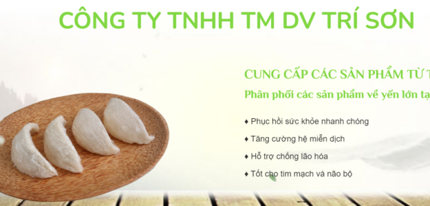 Công ty TNHH TMDV Trí Sơn