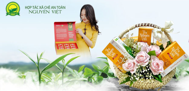 HTX chè an toàn Nguyên Việt