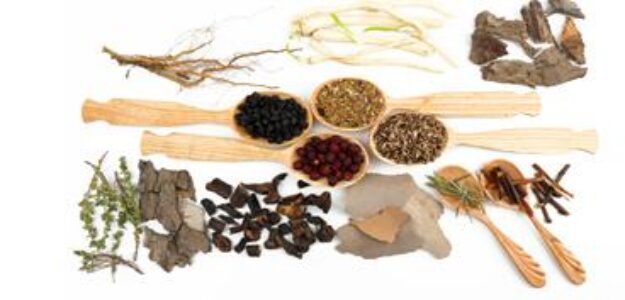 Công ty cổ phần dược liệu Hải Hậu