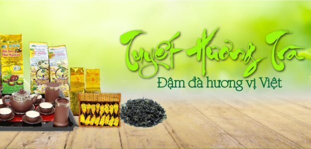 HTX chè Tuyết Hương