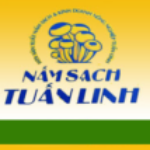 HTX SẢN XUẤT NẤM SẠCH & KINH DOANH NÔNG NGHIỆP TUẤN LINH