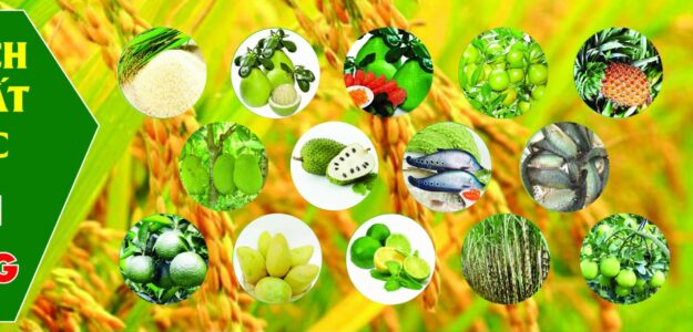 HKD QUÁN TÂN HẬU GIANG