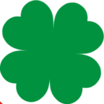 CÔNG TY CỔ PHẦN QUỐC TẾ ALPHARCO CHI NHÁNH NINH BÌNH