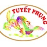 CÔNG TY TNHH MTV TUYẾT PHỤNG