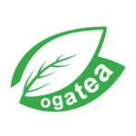 Công ty cổ phần dược liệu Hải Hậu