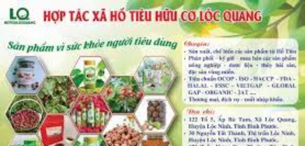 HTX Hồ tiêu hữu cơ Lộc Quang