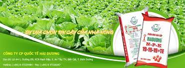 Công ty CP quốc tế Hải Dương