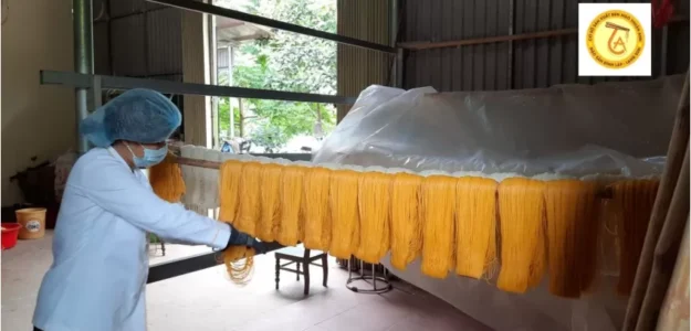 CƠ SỞ SẢN XUẤT BÚN NGÔ THUẬN ANH