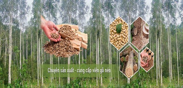 CÔNG TY TNHH NĂNG LƯỢNG AT