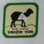 CƠ SỞ KINH DOANH DÊ, CỪU TRIỆU TÍN