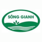 CÔNG TY CỔ PHẦN TỔNG CÔNG TY SÔNG GIANH