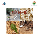 CÔNG TY TNHH NĂNG LƯỢNG AT