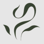 CÔNG TY TNHH TRÀ HOÀNG LONG