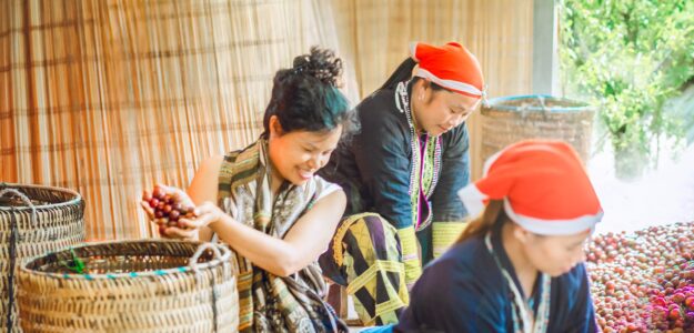 Hộ kinh doanh Viet Mountains