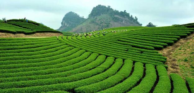 DOANH NGHIỆP TƯ NHÂN MỘC SƯƠNG