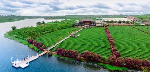 Công ty cổ phần Long Đỉnh