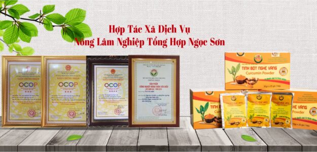HTX DỊCH VỤ NÔNG LÂM NGHIỆP TỔNG HỢP NGỌC SƠN
