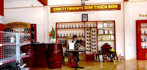 CÔNG TY TNHH MỘT THÀNH VIÊN SIM THIÊN SƠN