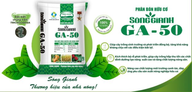 CÔNG TY CỔ PHẦN TỔNG CÔNG TY SÔNG GIANH