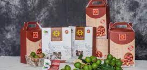 Công ty CP Damaca Nguyên Phương