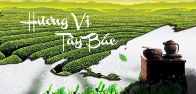 Công ty CP đầu tư phát triển chè Tam Đường