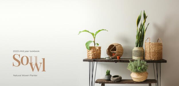 CÔNG TY TNHH XUẤT KHẨU VIỆT TRANG