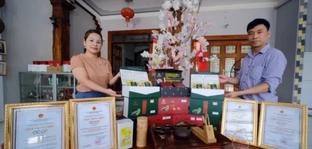 Hợp tác xã dịch vụ sản xuất nông nghiệp Sử Anh